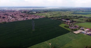 Option C Western ling from the air